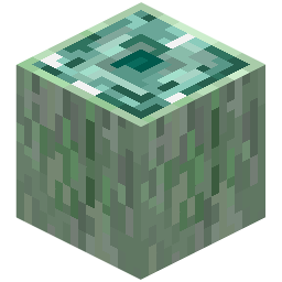 IMG_1087.png