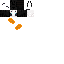 Sushi bee texture.png