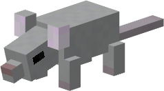 Grey Rat.png