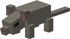 Brown Rat.png
