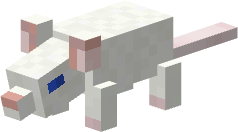 White Rat.png