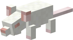 Albino Rat.png