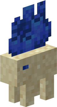 Verve (coral).png
